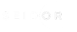 Seidor